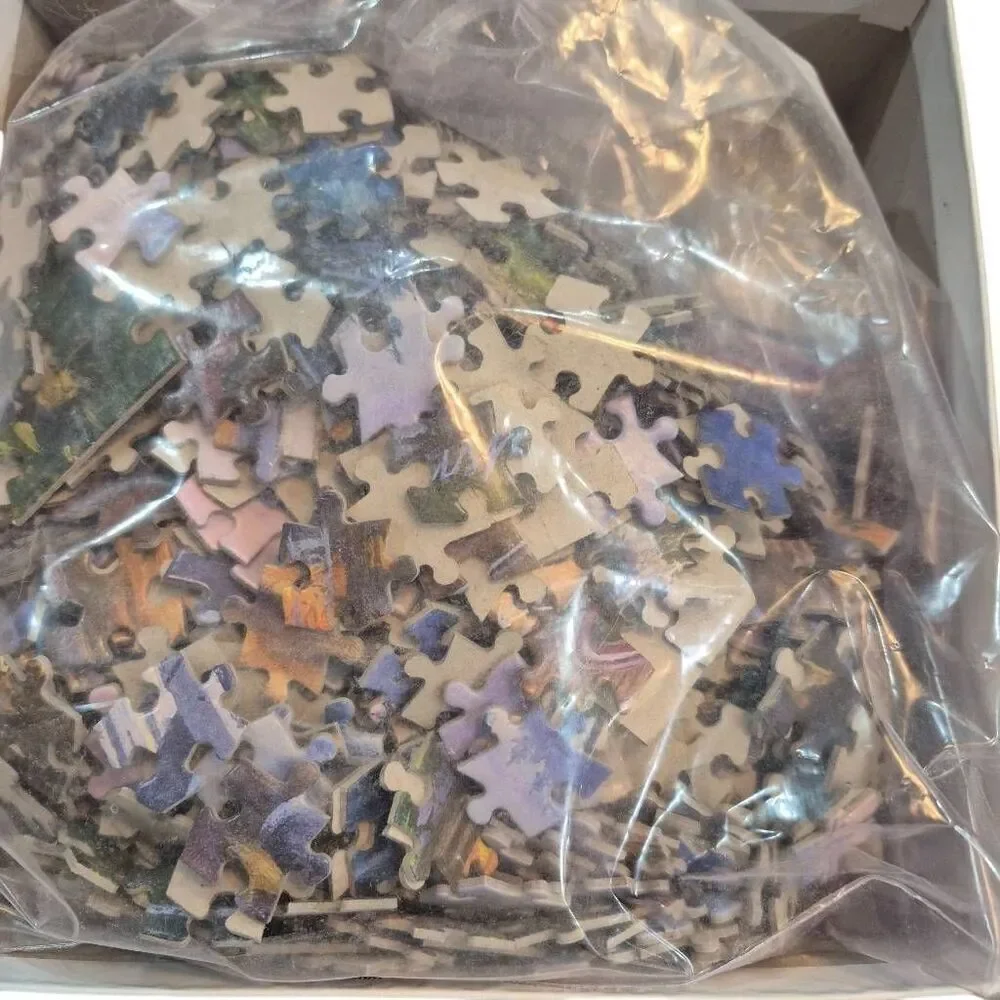Buffalo Games Darrell Bush Lake Reflection 1000 pc Jigsaw Puzzle USED